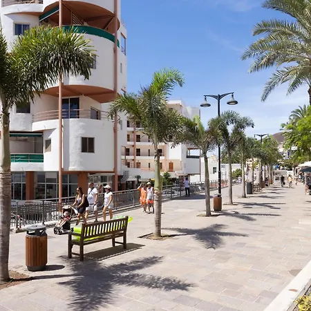 Apartment New Center Cristianos Los Cristianos (Tenerife)